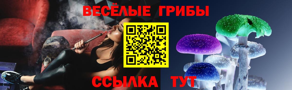 Павловский Посад  Псилоцибиновые грибы мицелий  Вход с VPN 